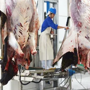 Progetto chiavi in mano macello di capra di pecora per la lavorazione della carne binario di trasporto appeso per macchina per macello di montone