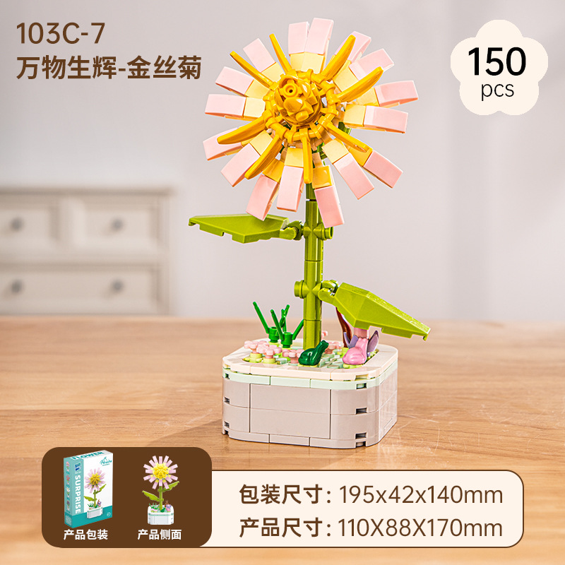 Golden Chrysanthemum