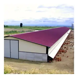 Prefabricated Steel Structure Chicken Farms poultry house for 10000 chickens