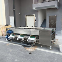 Fabriek Leveren Tomaat Grootte Sortering Roller Sorteermachine Roller Fruit Sorteermachine