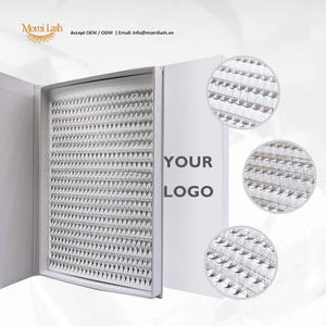 Nouveauté : Boîte à cils élégante faite à la main, extensions de cils noires 2D 20D, lot de cils avec courbure CC naturelle, gain de temps, grand format - Product Image 1