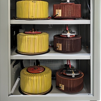 Régulateur de tension triphasé 30 kVA entièrement automatique avec enroulement en cuivre, modèle SVC, commande par servomoteur pour utilisation en centre de données