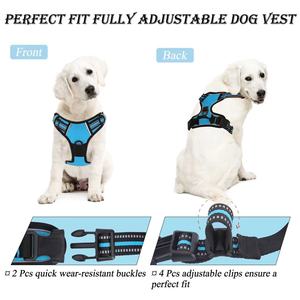 Ensemble de harnais et de laisse pour chien en nylon réfléchissant réglable multicolores en gros pour chiens de petite, moyenne et grande taille - Product Image 3