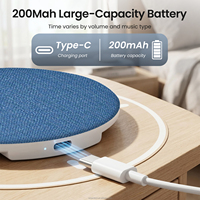 Haut-parleur d'oreiller 2026 Hot Sleep pour V5.3, mini haut-parleur sans fil fin à placer sous l'oreiller avec réglage de la durée de lecture programmée