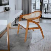 Échantillon gratuit de meubles de maison en rotin et osier avec coussin doux en bois, cuisine et salle à manger, chaise de restaurant PLUS DESIGN