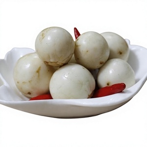 Berberechos enlatados en conserva, berberechos encurtidos blancos, berberechos encurtidos dulces y ácidos, berberechos encurtidos al por mayor, listos para comer, guarnición, encurtido en líquido transparente - Product Image 1