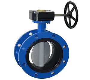 DN 50 ดับเบิ้ลฟลานจ์แบบเกียร์มาตรฐาน DIN ที่ดีที่สุดและขายดีที่สุด - Product Image 5