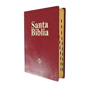 Stampa personalizzata del libro della bibbia di Santa biblia holy kjv niv in pelle con copertina morbida con linguette indice