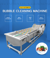Hoogwaardige machines voor het reinigen en verwerken van groenten en fruit, wasmachine voor aardappelen, tomaten, wortelen, gember en fruit, bubbelwasmachine