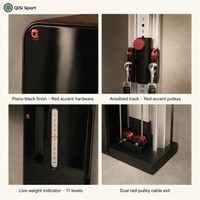 Appareil de musculation fonctionnel mural pour la maison, machine à câbles compacte pour salle de sport à domicile, pile de poids de 30 kg, plus de 100 exercices, noir piano