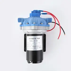 Stock de vente d'usine DP-35 ~ 160 12V 24VDC 220AC pompe à eau à membrane haute pression Booster pompe à circulation pour le lavage de voiture etc