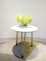 Table basse en métal et bois pour hôpital, appartement, bar domestique - Durable, facile à assembler, mobilier contemporain pour salon