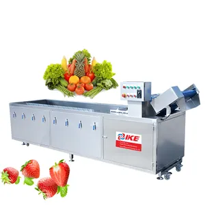 Pulizia dell'ozono di pomodori e fragole con una grande macchina elettrica industriale per la pulizia di frutta e verdura