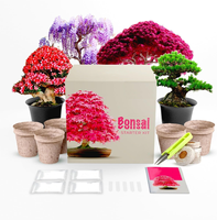 Kit de culture de plantes personnalisé avec outils différents emballages de fleurs de bonsaï créatif à faible coût excellente idée cadeau