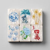Set Mahjong Akrilik Amerika Motif Mutiara Berkilau Iridescent, Gaya Chinoiserie Crane Golden Palm Coastal, untuk Hadiah Ulang Tahun Unik