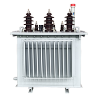 Transformador de Distribución Trifásico Sumergido en Aceite ONAN de 50 kVA, 80 kVA, 100 kVA, 160 kVA, 11 kV, 480 V, Modelo S13, Marca PKNY