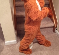Personnage de dessin animé Cosplay Lovely Fox Costume Orange Jumpsuit Halloween Kid Fox Tail Costume