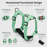 Kit de laisse et collier pour chien en nylon haute résistance, ajustement confortable, pour petits, moyens et grands animaux