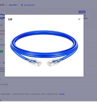 Kabel Ethernet Ultra Slim Cat6A FTP UTP 28AWG Tembaga Outdoor 100m PVC CCC Brothers-Y