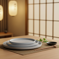 Nouvelles assiettes plates en mélamine rayées incassables de 8,1 pouces de diamètre