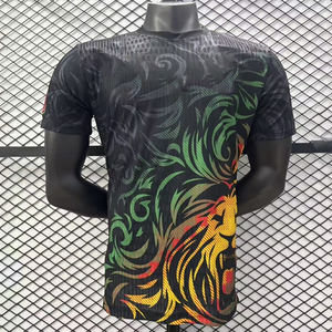 25-26 Grosir Jersey Sepak Bola Piala Negara-Negara Afrika Kustom Kamerun Versi Pemain Berkualitas Tinggi - Product Image 4