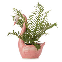 Pot Bunga Angsa Putih, Penanam Desktop Putih Desain Angsa Keramik Pot Bunga Kantor Pot & Penanam
