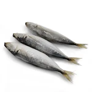 frozen fish bait for sale, frozen fish bait for sale Suppliers and