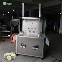Geavanceerde Commerciële Mango-Kokos-Broodvruchtenschilmachine Voor Fruit