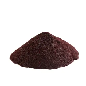 Fresh Blueberry Juice Powder Freeze Dried Fruits Powder Dryed and Powdered Fruit