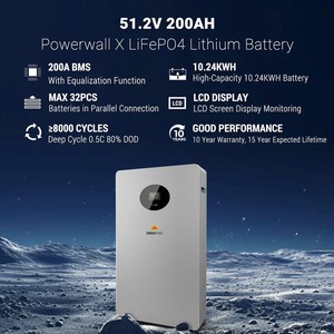 Inversor de Corriente Continua/Alterna SUN GOLD POWER Powerwall X, Salida Única, 51.2V 200AH 110V/220V, 85% de Eficiencia, SG48200T - Product Image 4