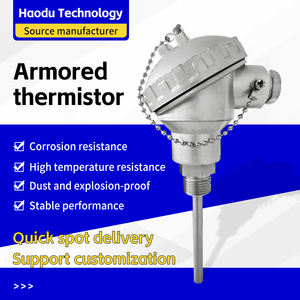 Temperatura customizável aço inoxidável do OEM/ODM água do transdutor infravermelho do transmissor do termômetro PT100 Digitas - Product Image 2