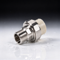 Raccord de tuyauterie à fusion thermique PPR vers acier inoxydable, adaptateur fileté mâle pour alimentation en eau chaude et froide
