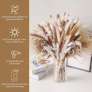 Hot Sale Fluffy Small White Pampas Grass Bouquets Boho Style Home Decor Dried Flowers Reed Plume Luxuriant Pampas Grass