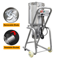 Machine à écraser les légumes en acier inoxydable Extracteur de jus de mangue, de noix de coco et de gingembre
