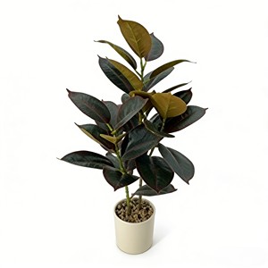 ต้นยางพาราบอนไซประดับตกแต่งภายในอาคาร ต้นไม้จำลอง ใบไม้จำลอง - Product Image 1