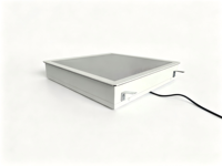 Luminaire professionnel de salle blanche à design moderne, personnalisable, 40W 50W 60W 80W, IP65, pour la vente en gros