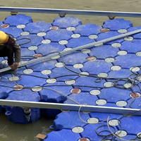 Plateforme flottante modulaire en plastique PE pour le stationnement et l'amarrage de jet-skis et de bateaux
