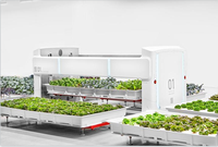 Plateaux de radeau flottants hydroponiques feuille de panneau de mousse EPP pour l'agriculture plantation de légumes en serre