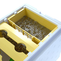 Kit de Démarrage Apicole Ruchette de Fécondation pour Reines Boîte d'Accouplement Nid d'Abeille
