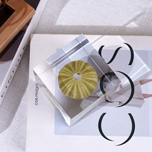 Diorama de resina oceánica Mini cubo del <span class=keywords><strong>mundo</strong></span> submarino para Navidad festiva Acción de Gracias Año Nuevo chino Día de San Valentín Día de la madre - Product Image 1