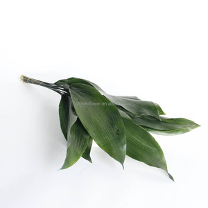 Feuilles d'<span class=keywords><strong>Aspidistra</strong></span>, boîte cadeau haut de gamme, personnalisable, cadeau pour la Saint-Valentin, bouquet de fleurs, tiges de fleurs fraîches, vente en gros en Chine - Product Image 2