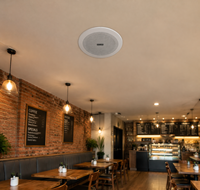 5 pouces PA haut-parleur 100V 3W/6W 8ohm impédance systèmes de plafond commerciaux pour Restaurants écoles centres commerciaux bureaux