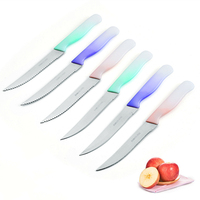 Couteau classique à tomates et de table de 4.5 pouces idéal pour couper les fruits et les légumes avec une peau douce Couteau à fruits à lame dentelée