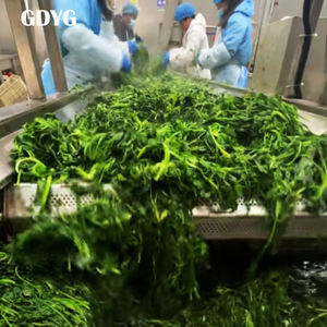 Vegetales Congelados de Primera Calidad para Comidas Saludables, en Diversos Tamaños/Venta al por Menor/Vegetales Asados Congelados IQF, Puré de Verduras Congelado - Product Image 5