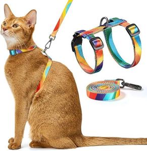 Ensemble Harnais et Laisse pour Chat Anti-Évasion, Harnais Arc-en-ciel pour Chat avec Boucle de Sécurité, Harnais de Marche Durable pour Chat, Laisse de Voyage - Product Image 1