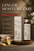 Shampoo hydratant riche au gingembre Aoba, prévention de la perte de cheveux, volumisant, extrait d'herbes, cheveux fins et doux, OEM ODM, étiquette privée