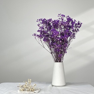 Fleurs de Gypsophile Séchées en Vrac - Nouveauté 2025 Décoration de Mariage Cadeaux de la Saint-Valentin Décoration Intérieure Florale Sabe - Product Image 1