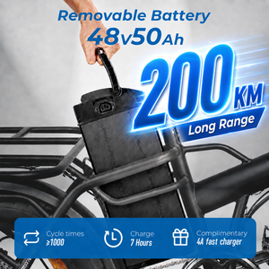 จักรยานไฟฟ้าล้อโต 20x4 รุ่นท็อป 48V 50Ah ความจุขนาดใหญ่ กำลังไฟ 750W รุ่นสั่งทำพิเศษสำหรับพนักงานส่งของ DT450 จักรยานสั่งทำพิเศษ DT450 - Product Image 1