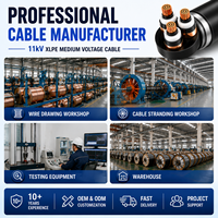 Cable de Distribución de Energía Armado con XLPE de 11kV para Aplicaciones Industriales