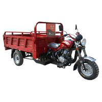 Motos à essence durables 3 roues 150CC 200CC 250CC Moto pour Cargo Docker Tricycle Moto